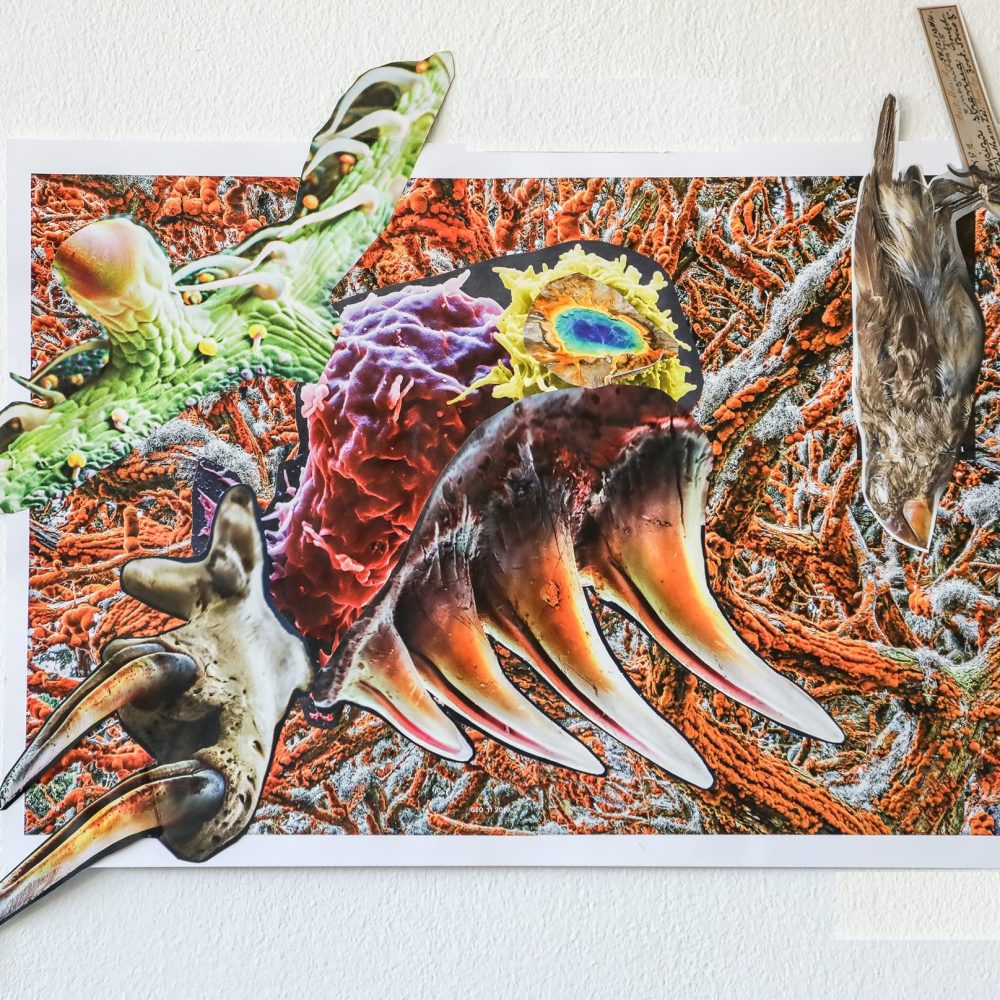 4O9A4056Matriarchinnen©Maria HaasArtwork_Annie Latham copy